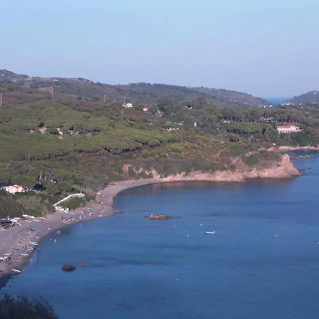 Binia *