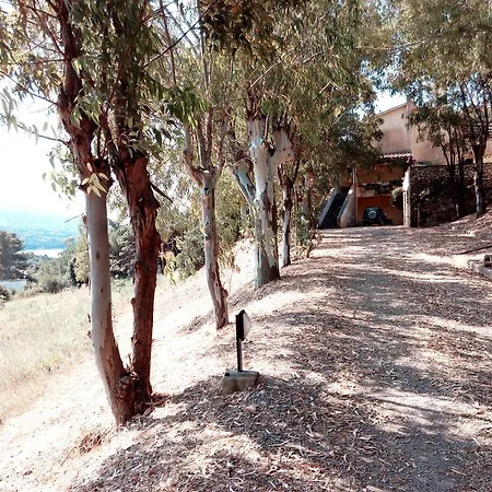 Binia Apartamento